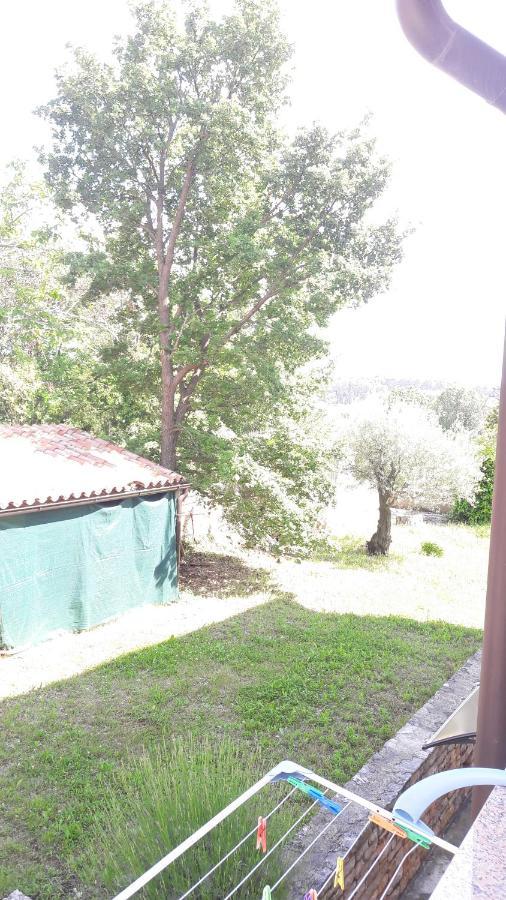 Apartment Radovan Porec Ngoại thất bức ảnh
